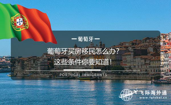葡萄牙买房移民怎么办