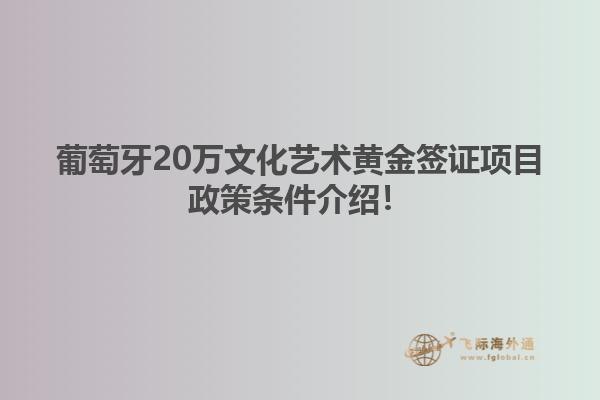 葡萄牙20万文化艺术黄金签证项目政策条件介绍！