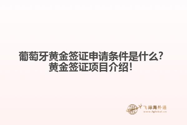 葡萄牙黄金签证申请条件是什么？黄金签证项目介绍！