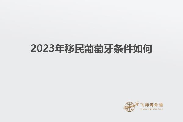 2023年移民葡萄牙条件如何