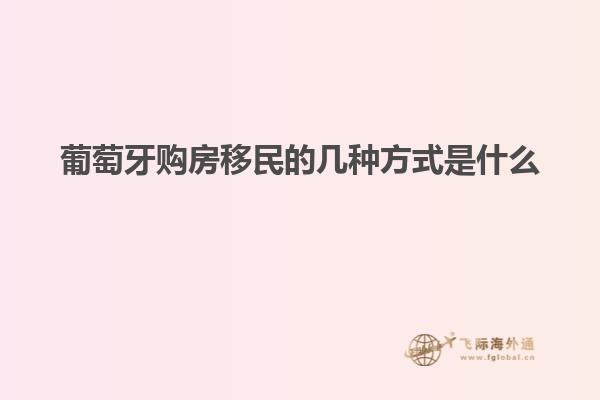 葡萄牙购房移民的几种方式是什么