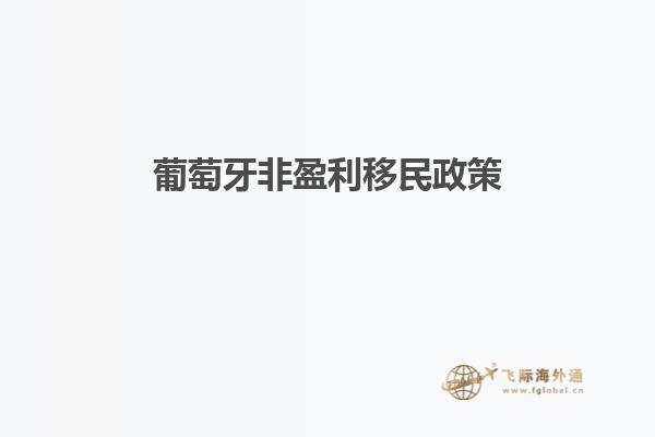 葡萄牙非盈利移民政策