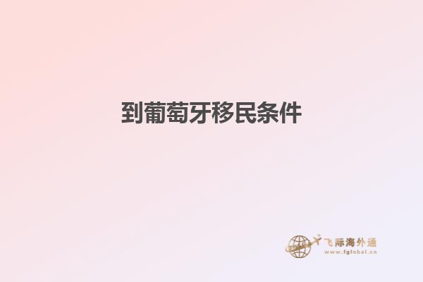 到葡萄牙移民条件