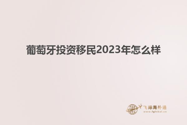 葡萄牙投资移民2023年怎么样