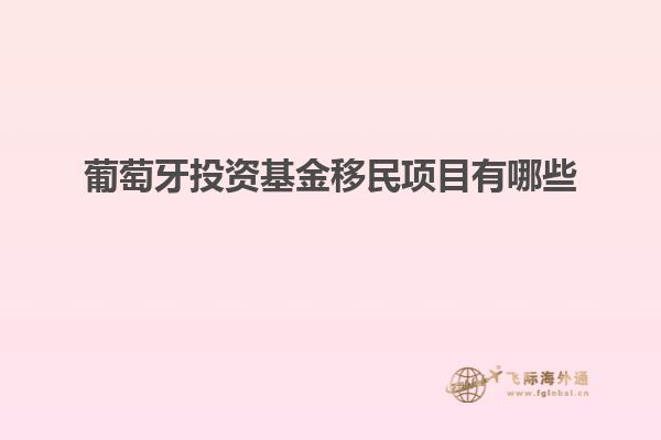 葡萄牙投资基金移民项目有哪些