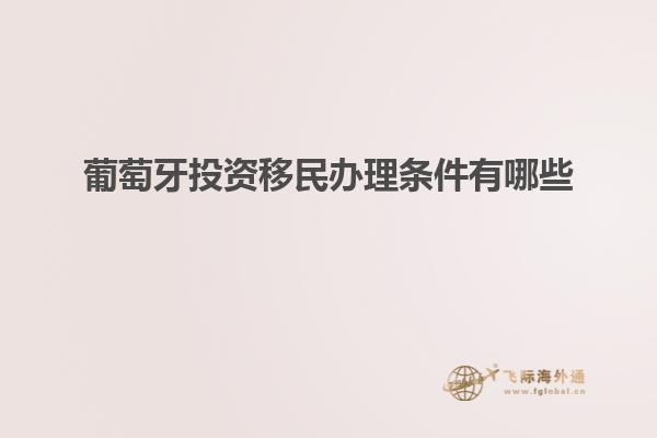 葡萄牙投资移民办理条件有哪些