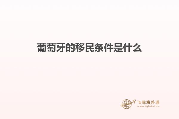 葡萄牙的移民条件是什么