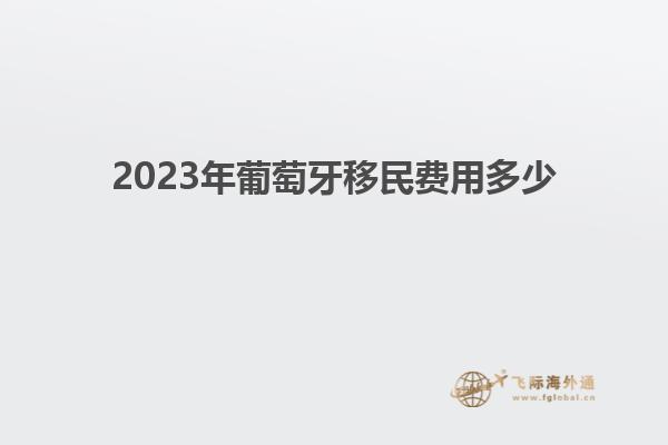 2023年葡萄牙移民费用多少