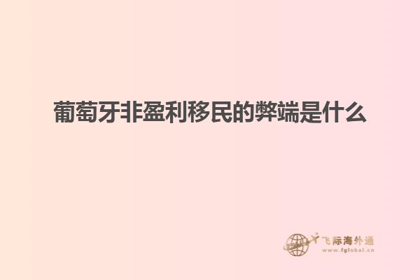 葡萄牙非盈利移民的弊端是什么