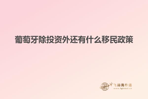 葡萄牙除投资外还有什么移民政策