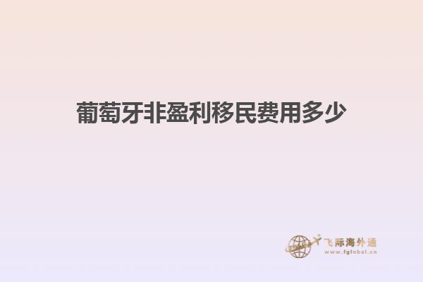 葡萄牙非盈利移民费用多少
