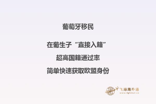 葡萄牙基金移民费用表格
