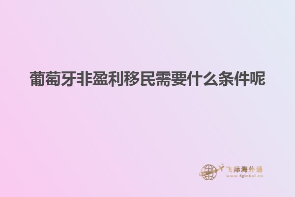 葡萄牙非盈利移民需要什么条件呢