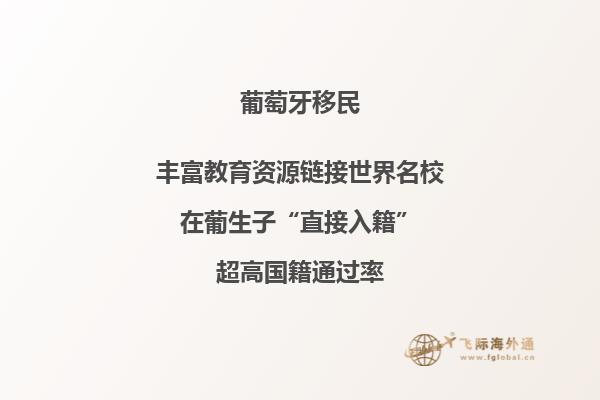 葡萄牙移民政策解析：申请流程、条件及注意事项