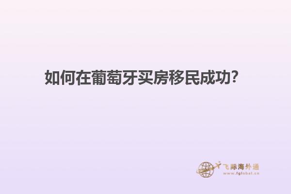 如何在葡萄牙买房移民成功？