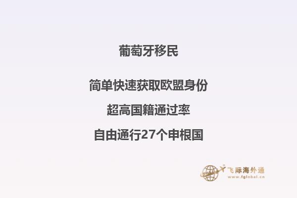 葡萄牙的移民需求和注意事项
