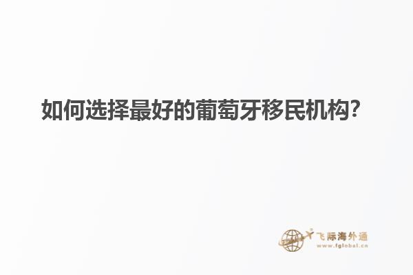 如何选择最好的葡萄牙移民机构？
