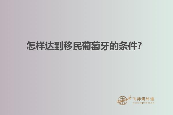 怎样达到移民葡萄牙的条件？