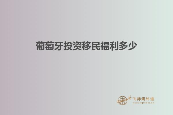 葡萄牙投资移民福利多少