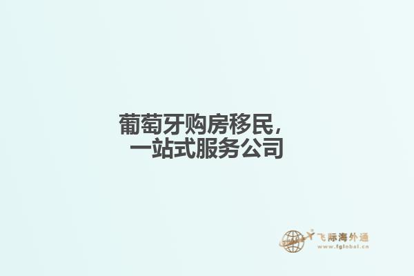 葡萄牙购房移民，一站式服务公司