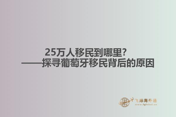 25万人移民到哪里？——探寻葡萄牙移民背后的原因