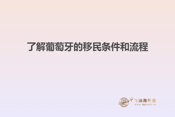 了解葡萄牙的移民条件和流程