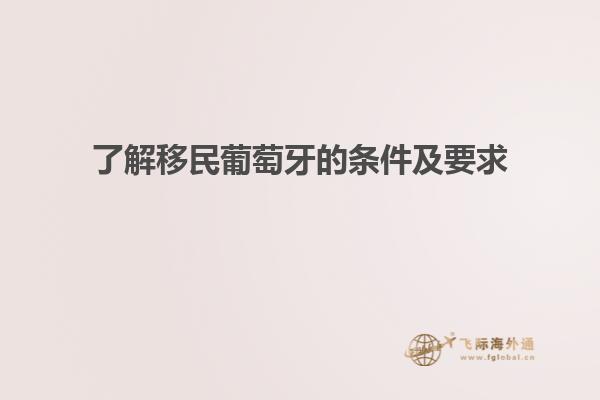 了解移民葡萄牙的条件及要求