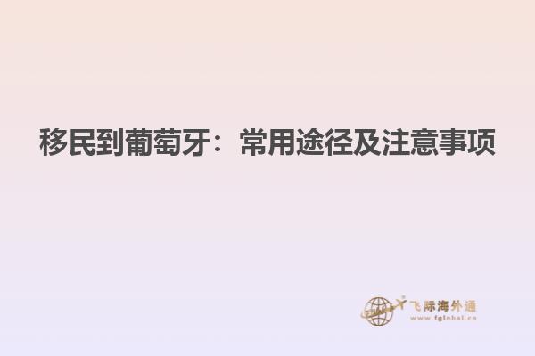 移民到葡萄牙：常用途径及注意事项