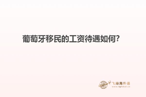 葡萄牙移民的工资待遇如何？