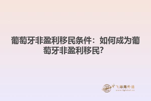 葡萄牙非盈利移民条件：如何成为葡萄牙非盈利移民？