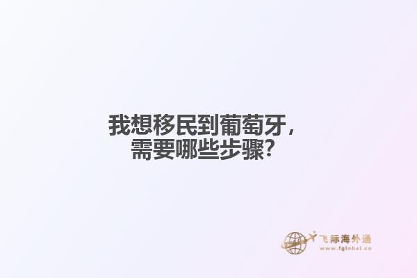 我想移民到葡萄牙，需要哪些步骤？