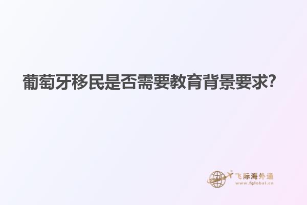 葡萄牙移民是否需要教育背景要求？