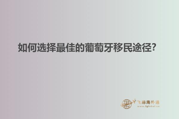 如何选择最佳的葡萄牙移民途径？