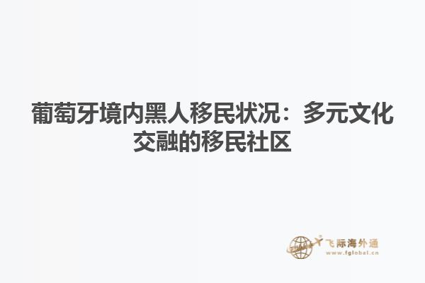 葡萄牙境内黑人移民状况：多元文化交融的移民社区