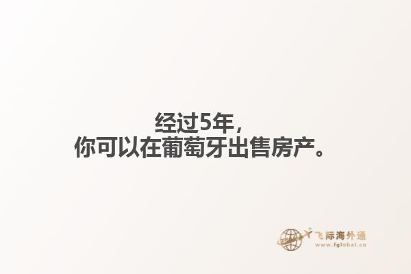 经过5年，你可以在葡萄牙出售房产。