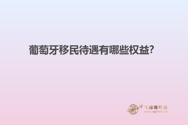 葡萄牙移民待遇有哪些权益？