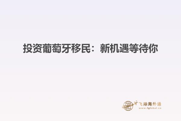 投资葡萄牙移民：新机遇等待你