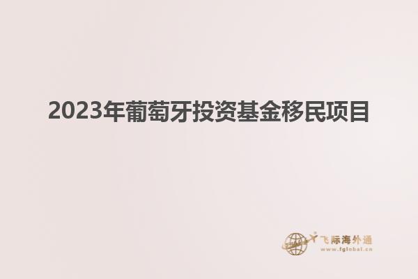 2023年葡萄牙投资基金移民项目