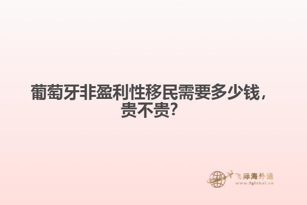 葡萄牙非盈利性移民需要多少钱，贵不贵？