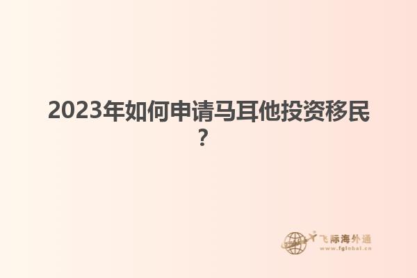 2023年如何申请马耳他投资移民？