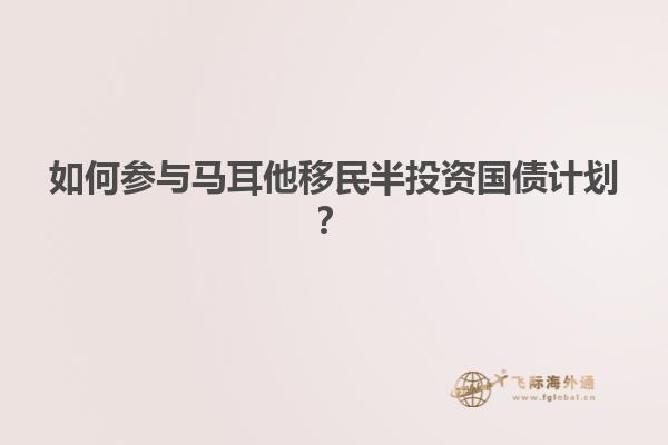 如何参与马耳他移民半投资国债计划？
