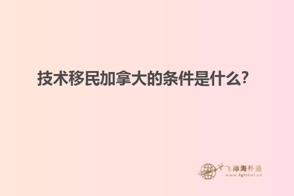 技术移民加拿大的条件是什么？