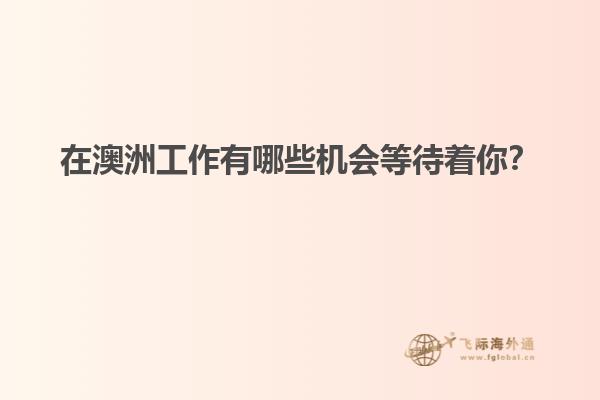 在澳洲工作有哪些机会等待着你？