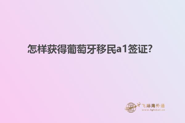 怎样获得葡萄牙移民a1签证？