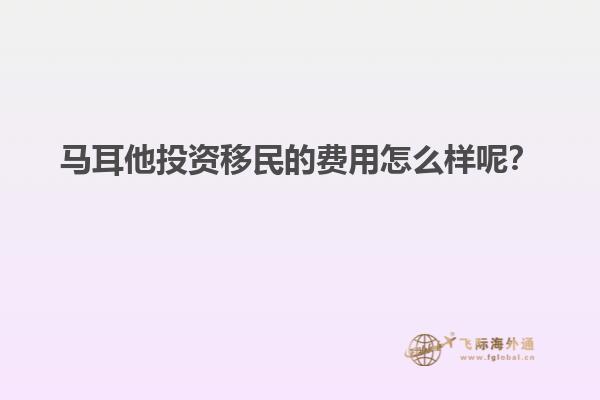 马耳他投资移民的费用怎么样呢？