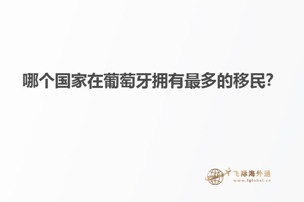 哪个国家在葡萄牙拥有最多的移民？