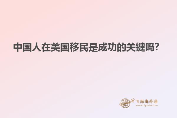 中国人在美国移民是成功的关键吗？