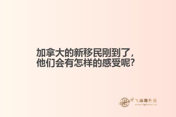 加拿大的新移民刚到了，他们会有怎样的感受呢？