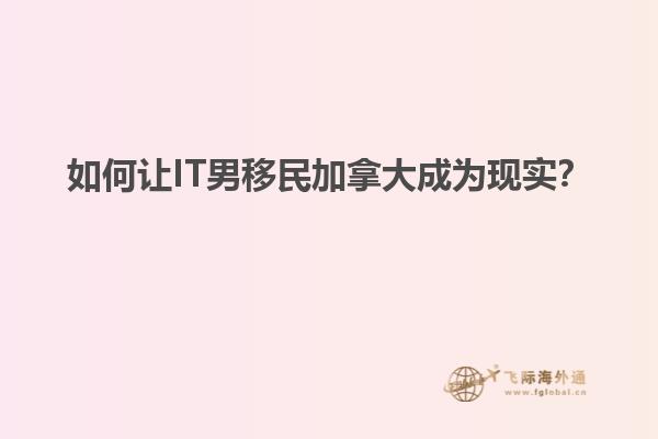 如何让IT男移民加拿大成为现实？