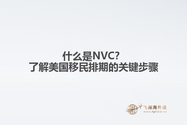 什么是NVC？了解美国移民排期的关键步骤